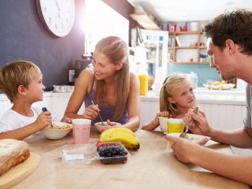 Indoor air quality services in Ronkonkoma, NY