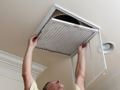 The Role of Air Filters in Reducing Allergies